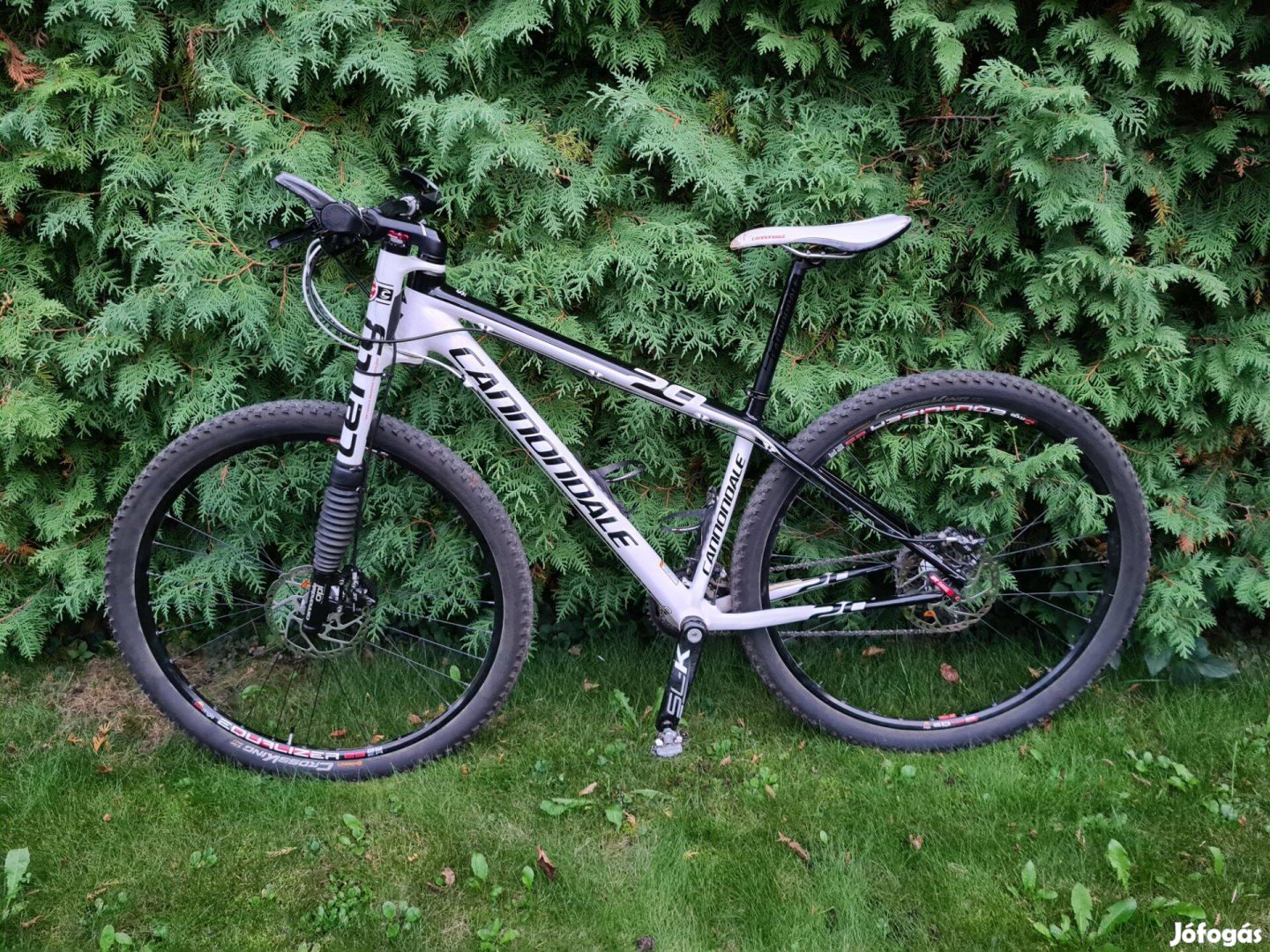 Cannondale Carbon Lefty - 29'