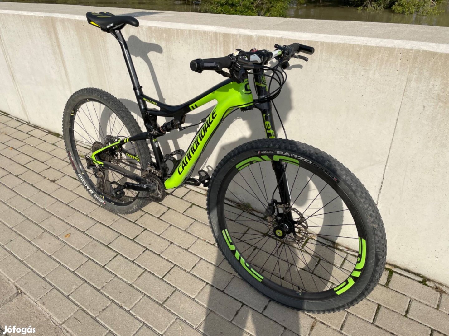 Cannondale carbon team edition 29 L