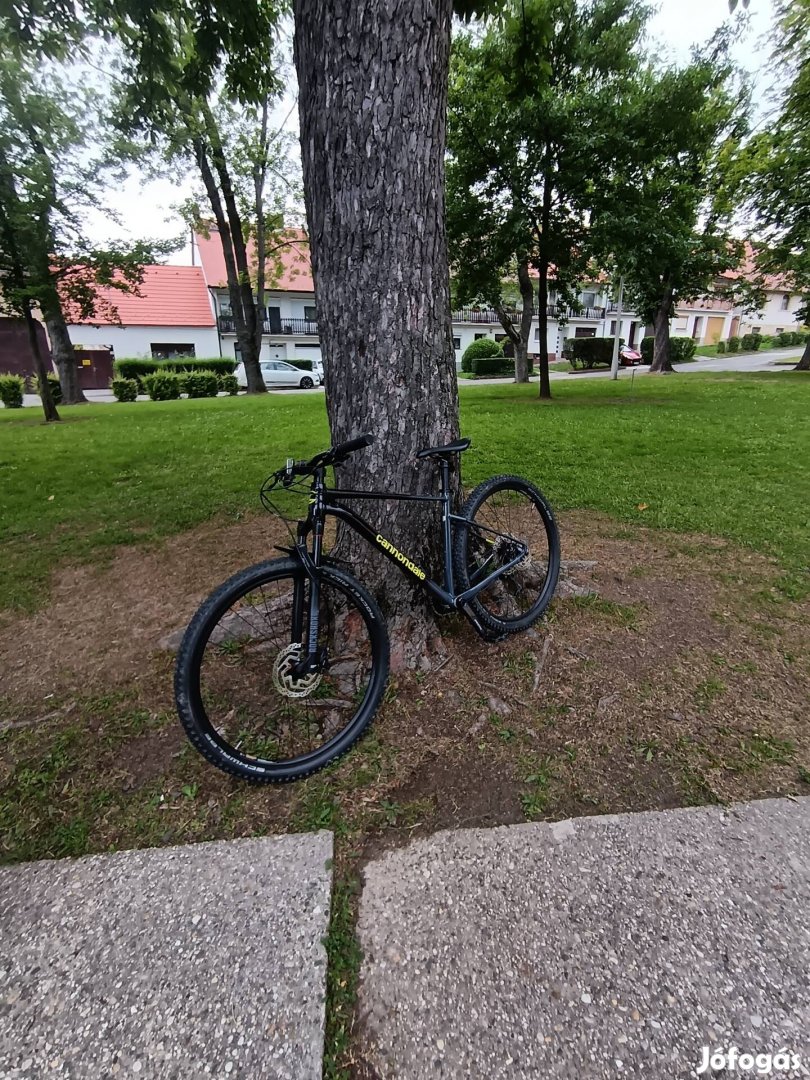Cannondale trail 2