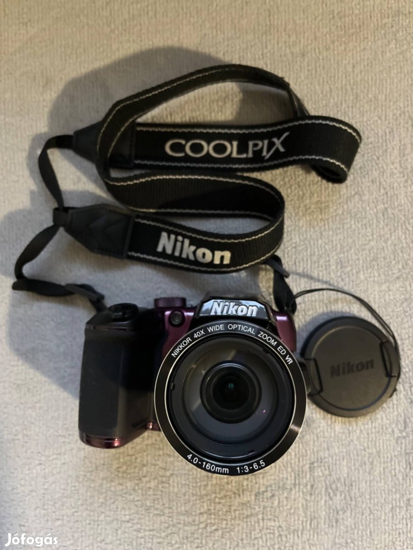 Canon Coolpix B500