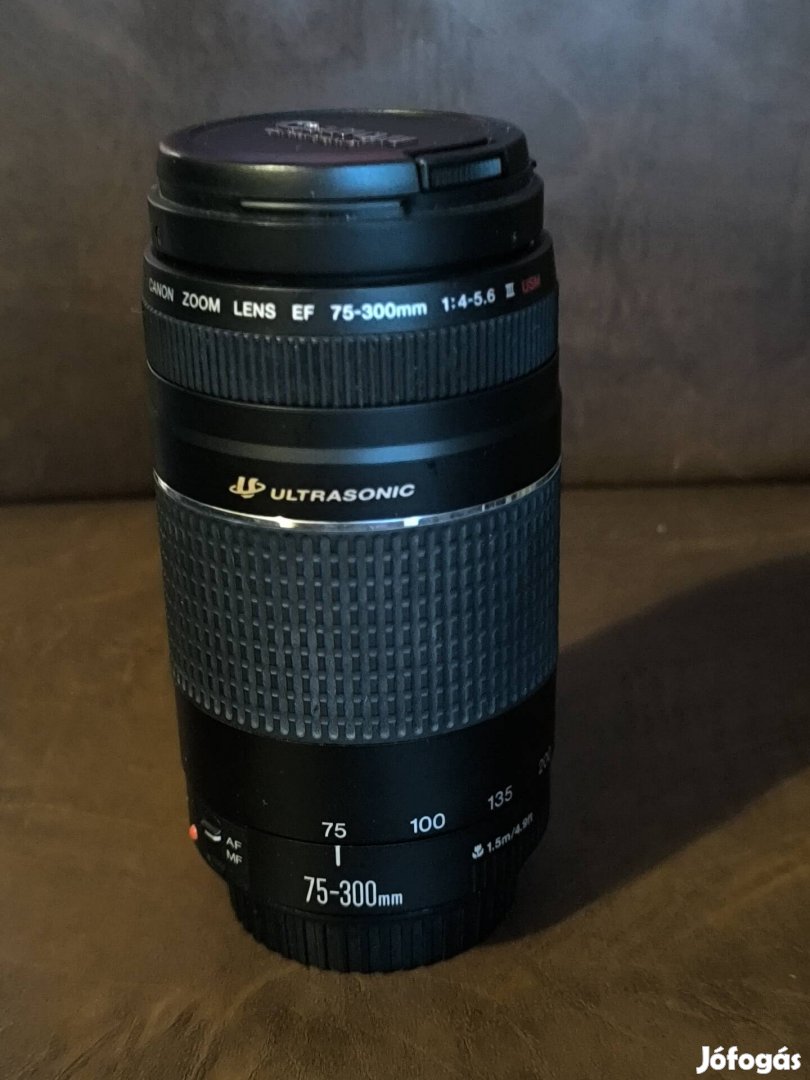 Canon EF 75-300  (függőben)