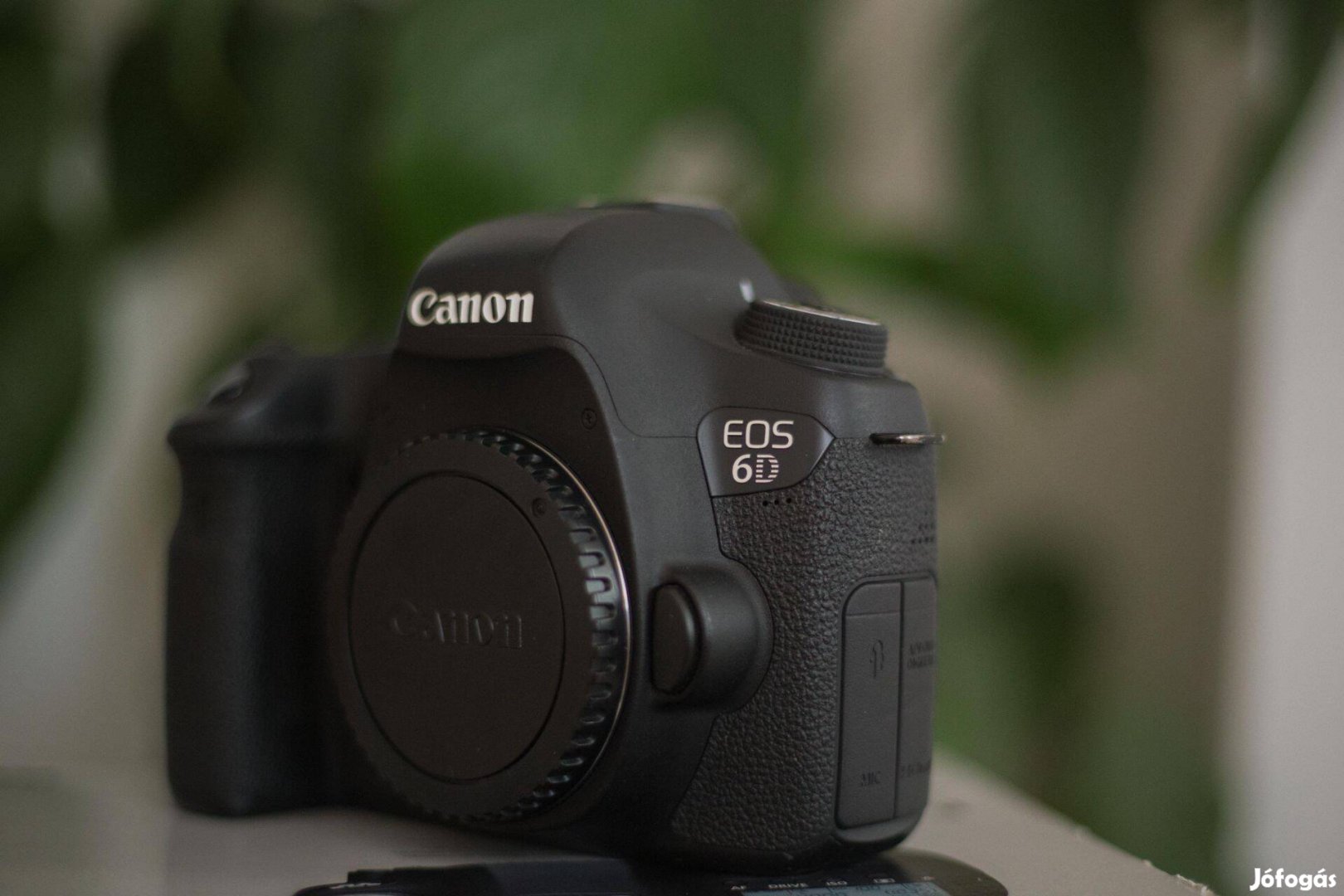 Canon EOS 6D