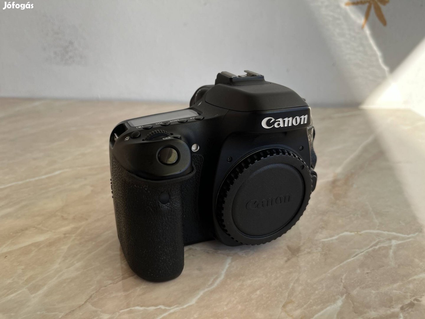 Canon EOS 80D kit