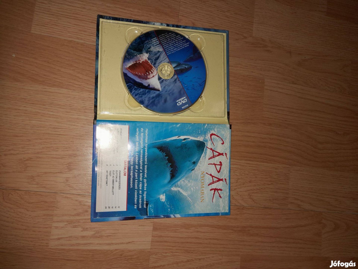 Cápák nyomában Dvd