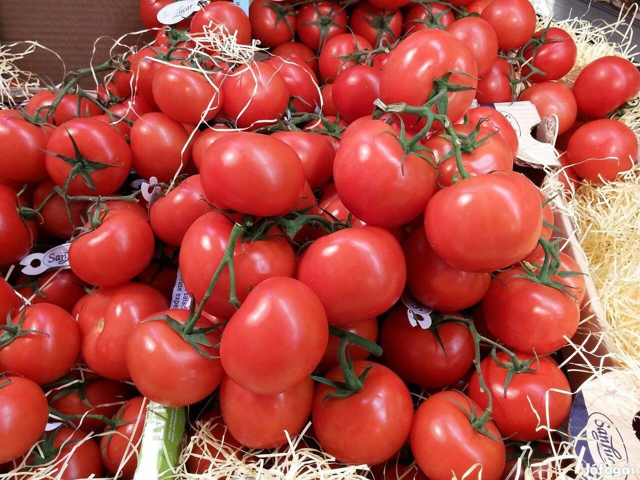 Caprese Olasz Paradicsom Paradicsom ízzel! Ez paradicsom ízű!