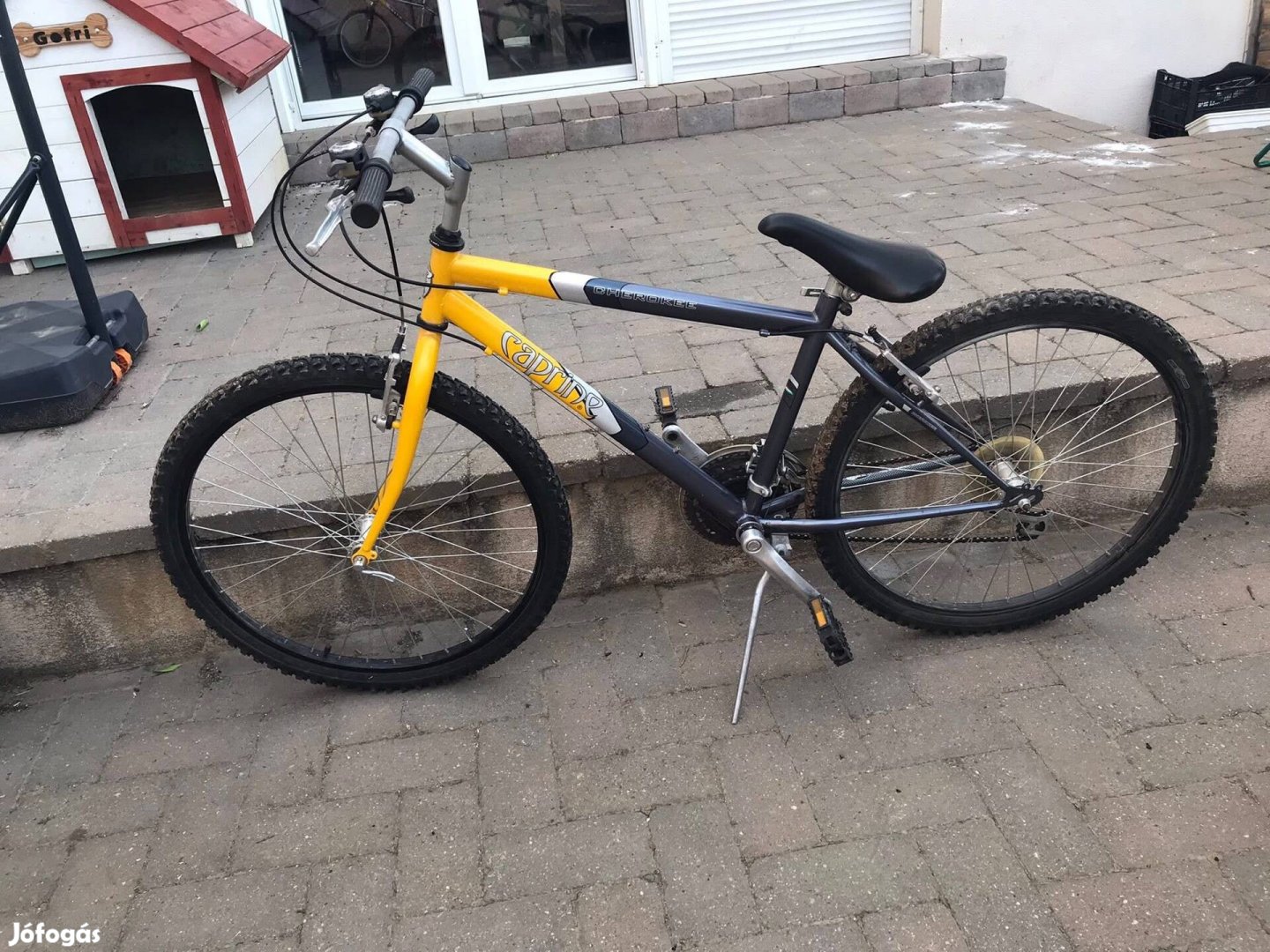 Caprine 26" mountain bike