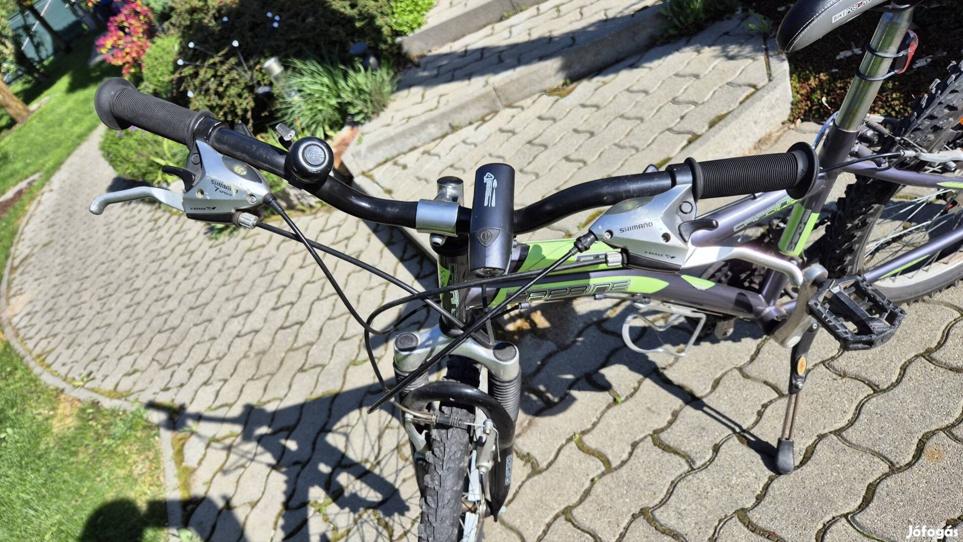 Caprine Cherokee 24" MTB