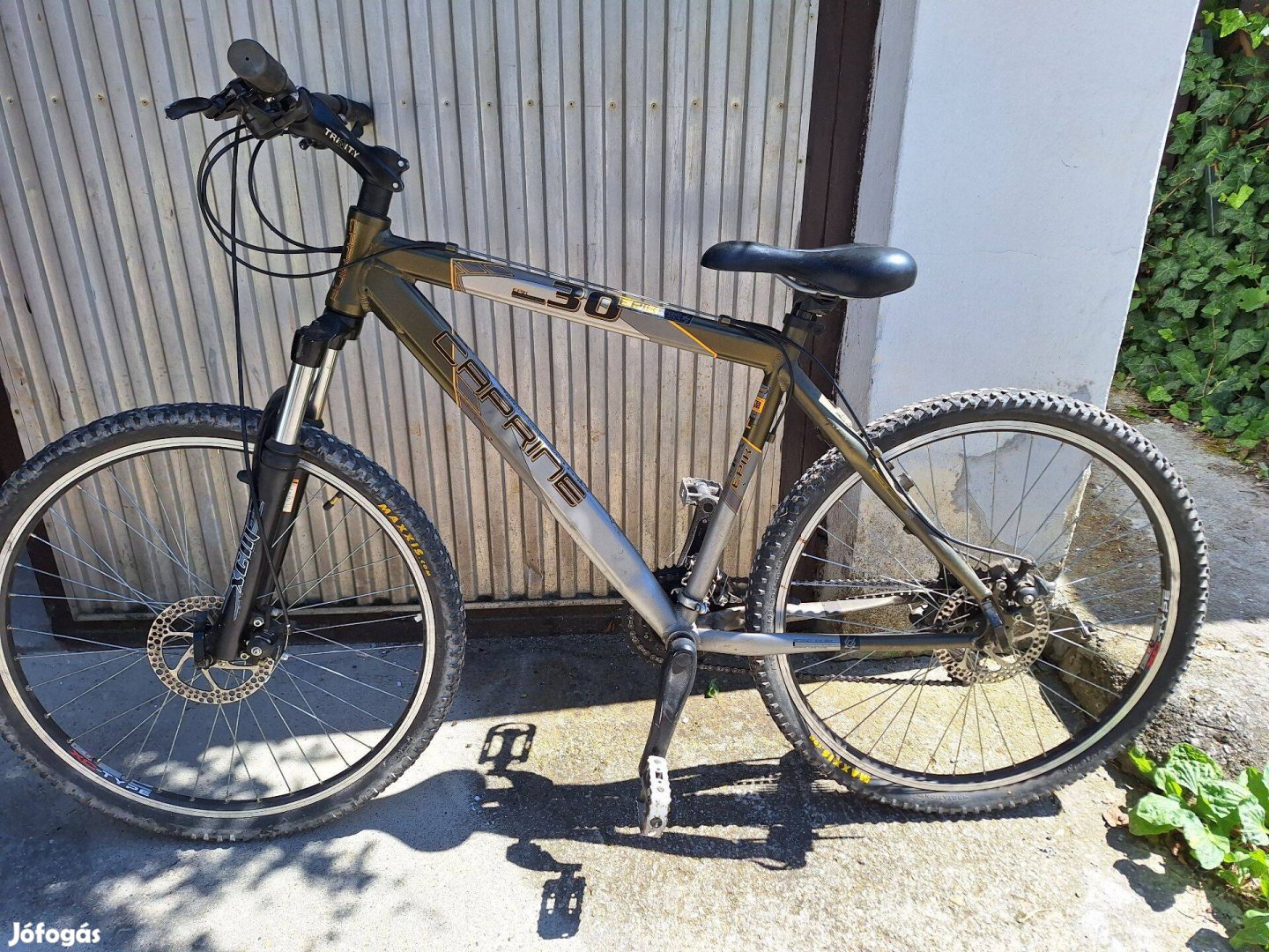 Caprine Epik 30 Mountainbike