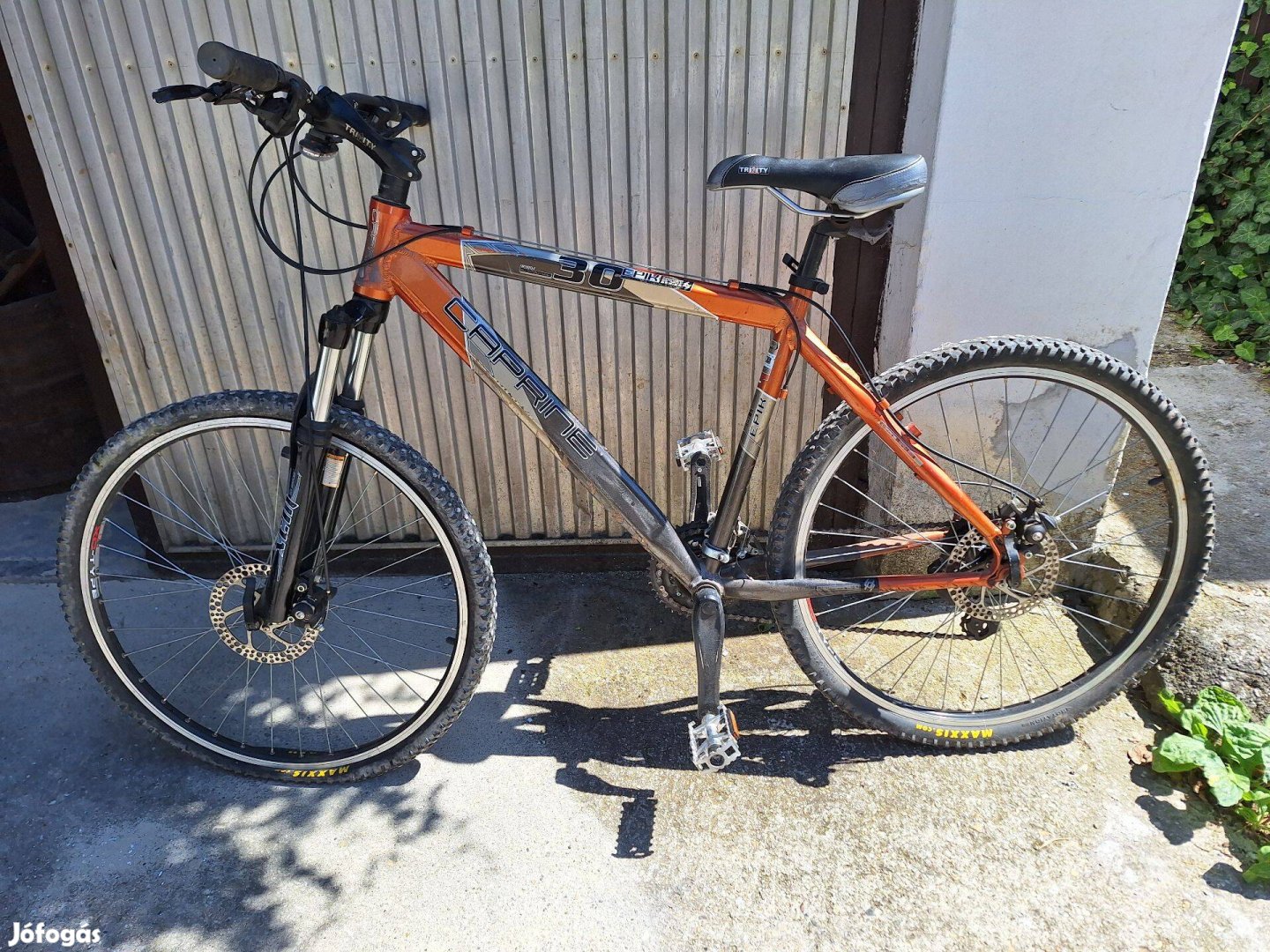 Caprine Epik 30 Mountainbike