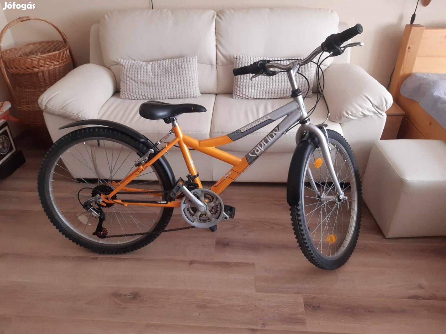 Caprine junior mountain bike