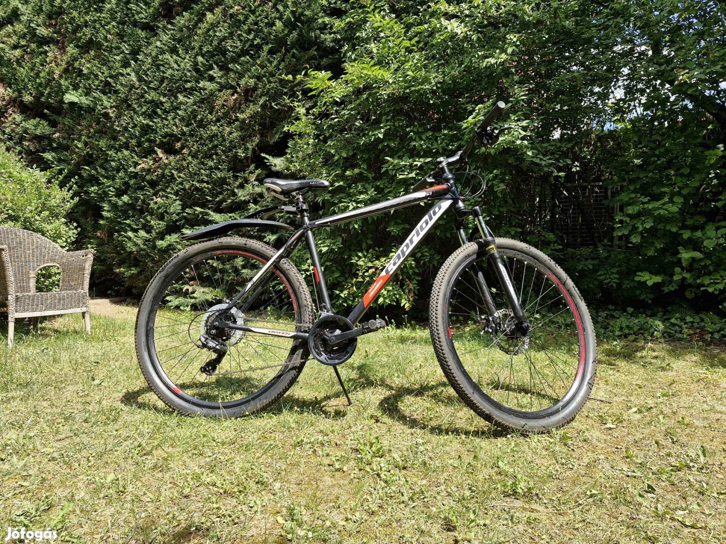 Capriolo Oxygen 29" kerékpár