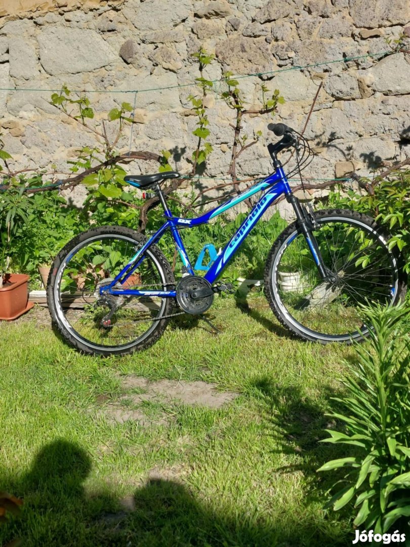Capriolo diavolo 600 dx kerékpár