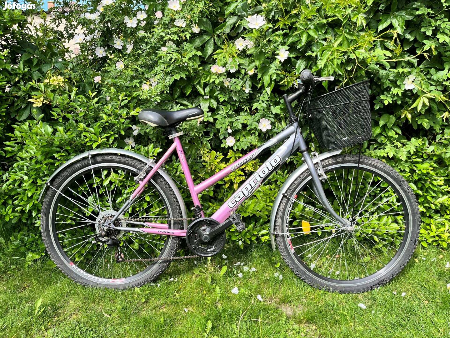 Capriolo passat metál lila női/lány kerékpár 26"