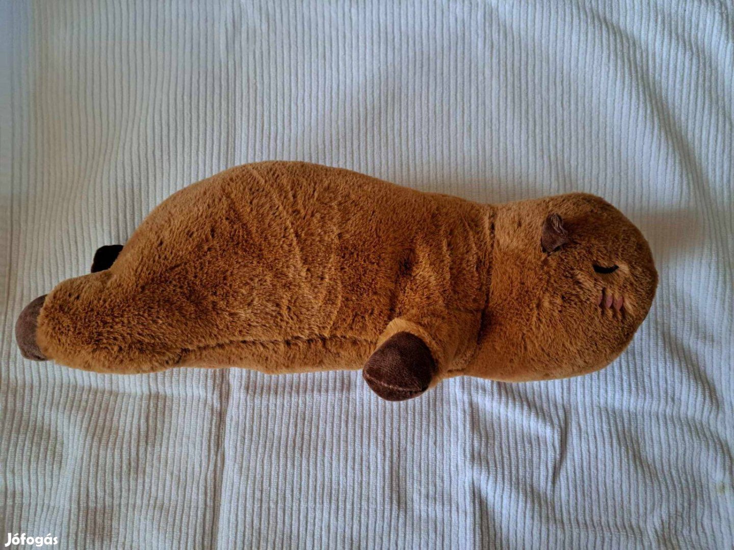 Capybara plüss/ 45 cm-es