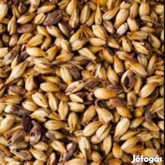 Caraamber Maláta EBC 60  10 dkg  (1734)