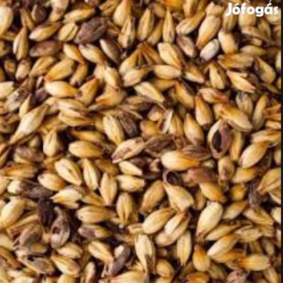 Caramünch maláta type I.   1kg  ( 431 )