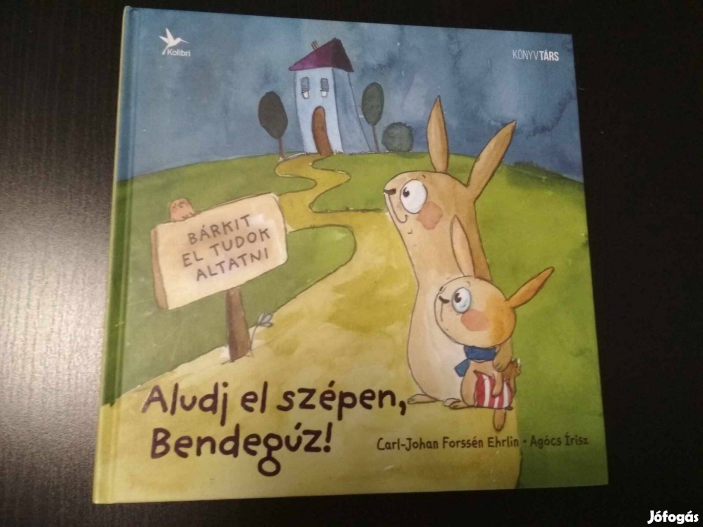 Carl-Johan Forssén Ehrlin: Aludj el szépen, Bendegúz!