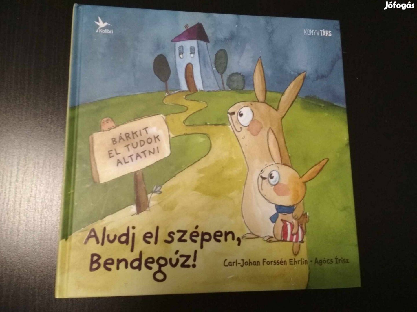 Carl-Johan Forssén Ehrlin: Aludj el szépen, Bendegúz!