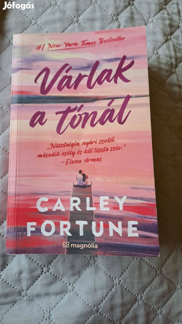 Carley Fortune - Várlak a Tónál