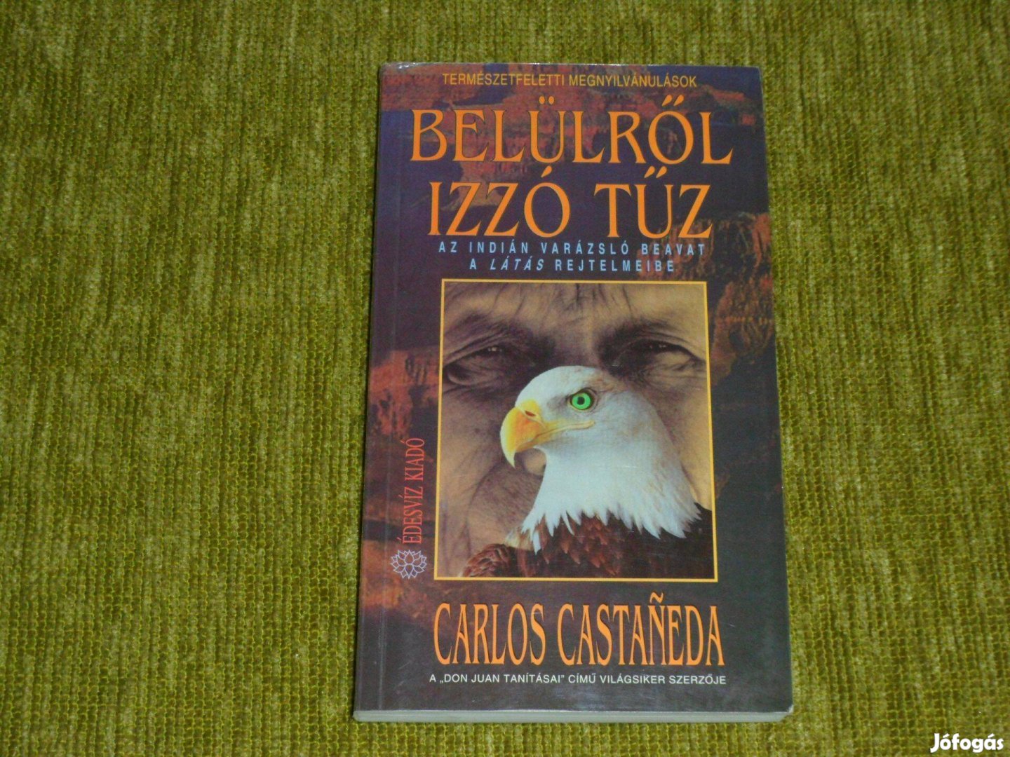 Carlos Castaneda: Belülről izzó tűz - Az indián varázsló beavat a lát