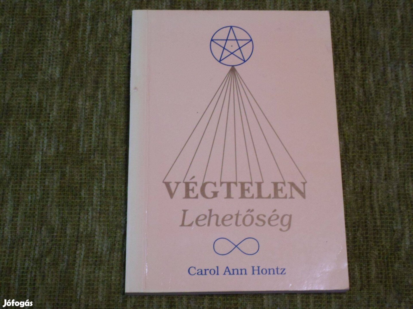 Carol Ann Hontz: Végtelen lehetőség - Kineziológia