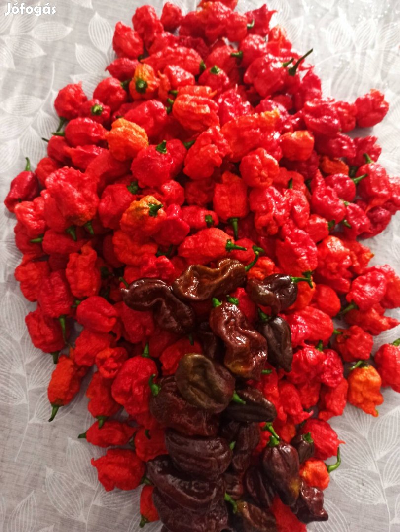 Carolina reaper chili szósz