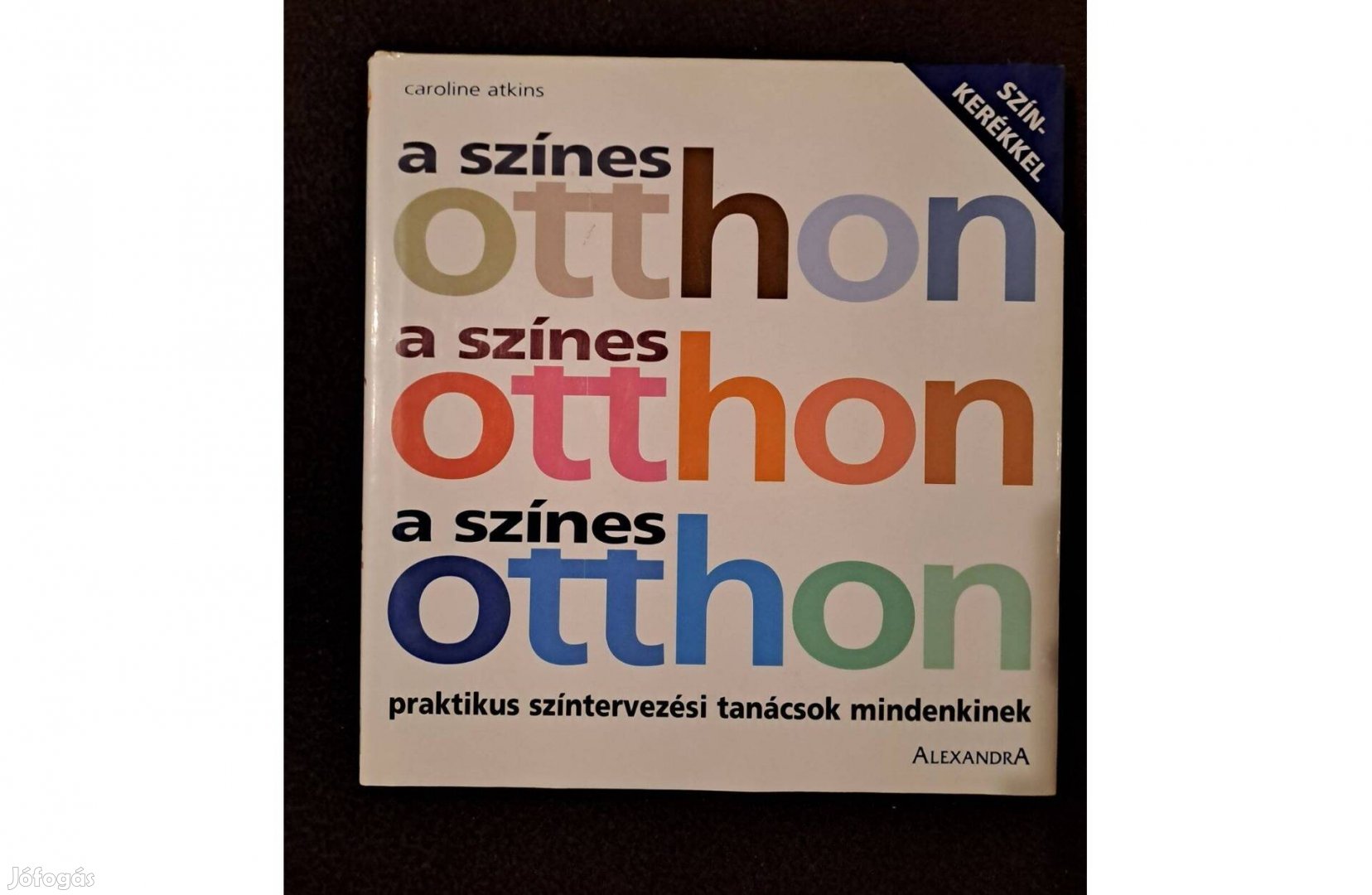 Caroline Atkins - A színes otthon