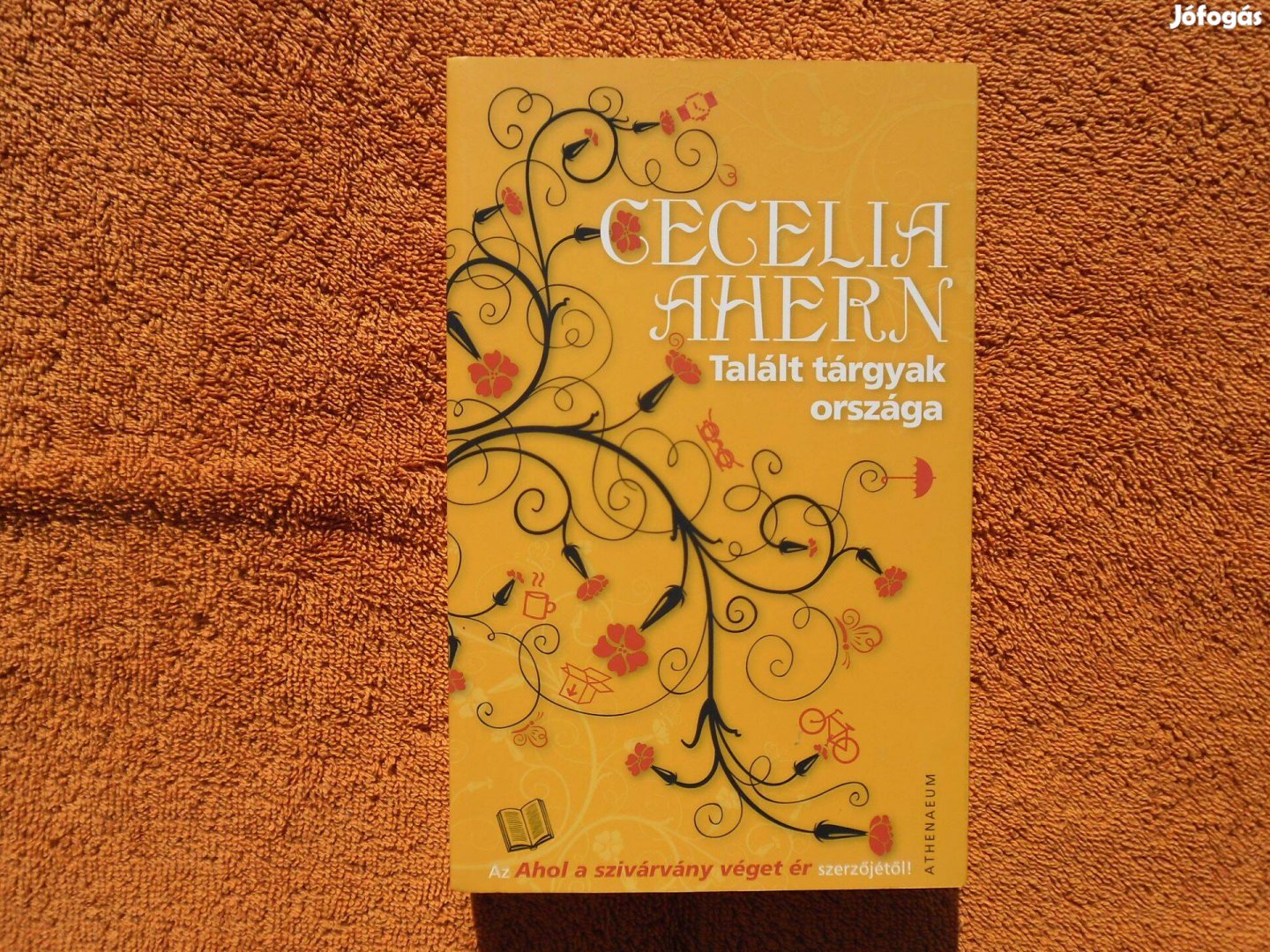 Cecelia Ahern: Talált tárgyak országa