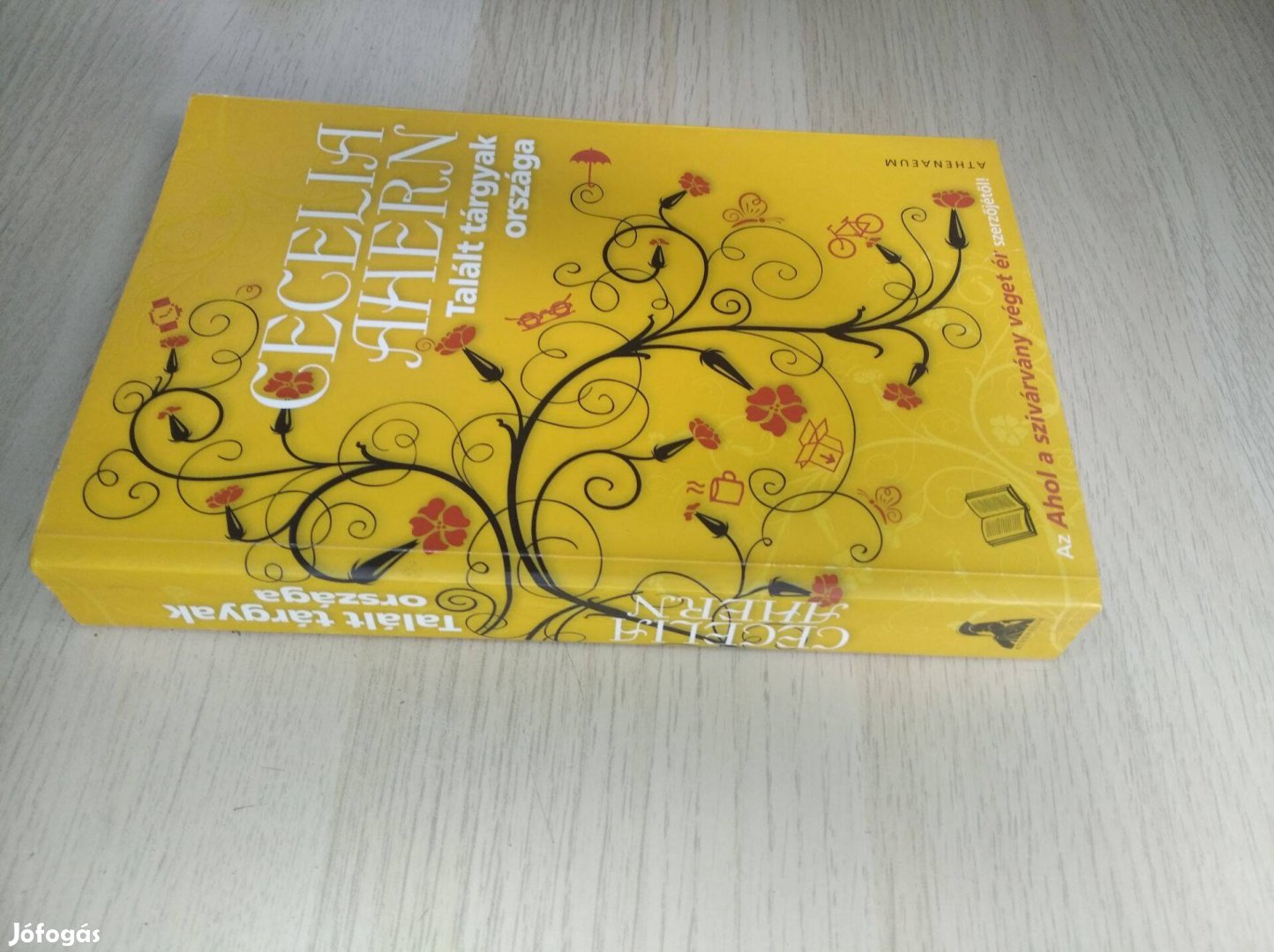 Cecelia Ahern Talált tárgyak országa