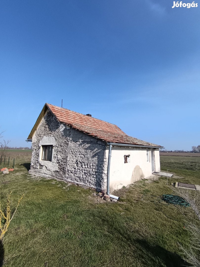 Cegléden, kedvelt dűlőben tanya eladó kiváló lehetőség