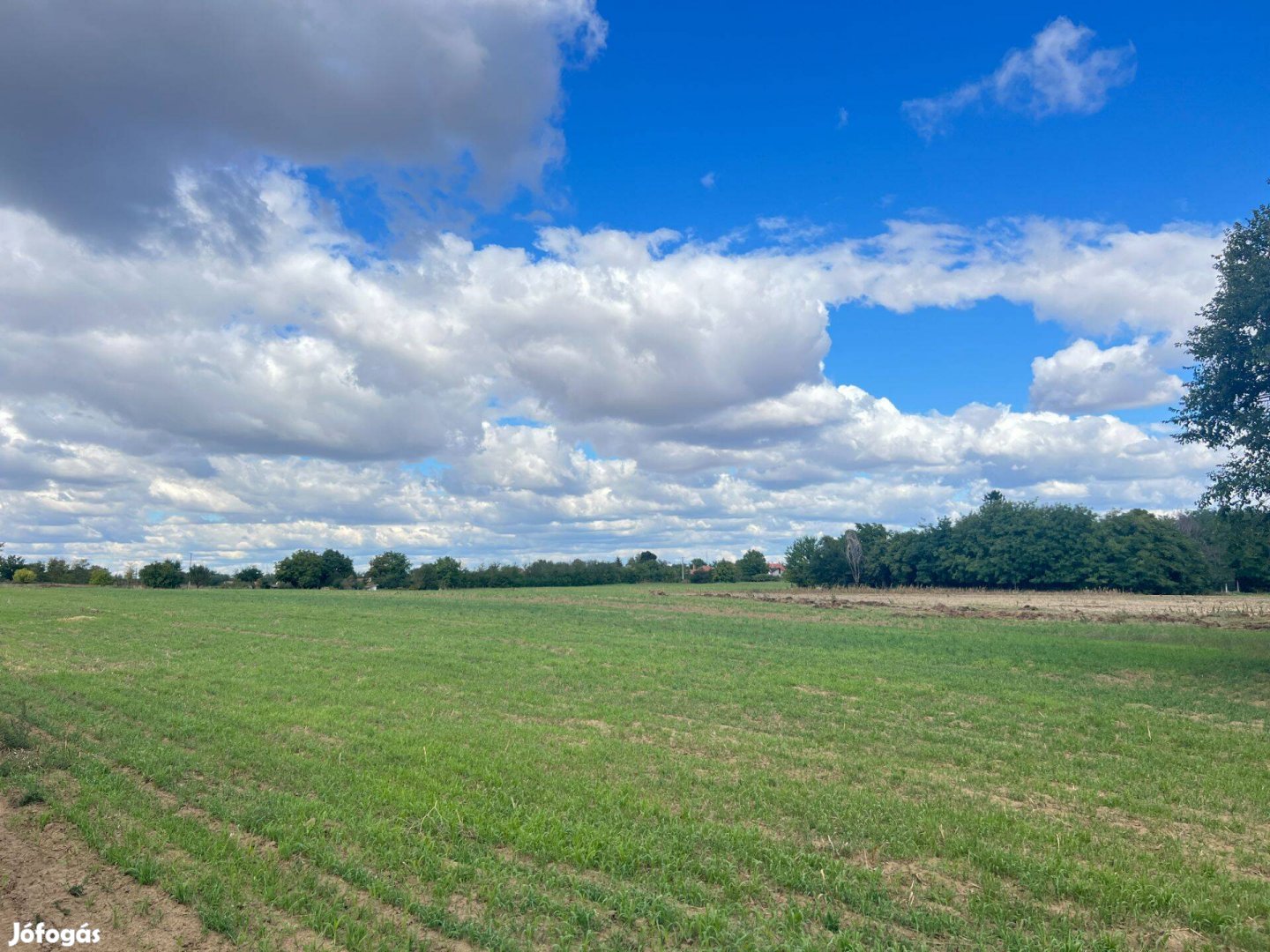Cegléden a Külső Budai út közelében telek eladó