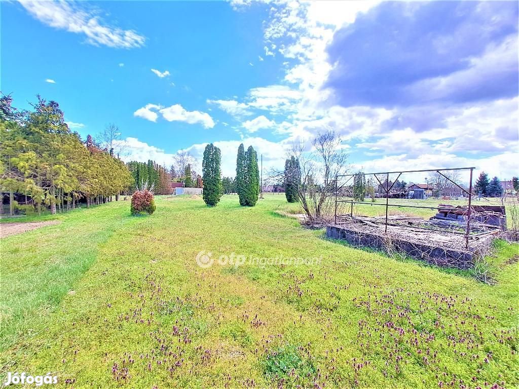 Ceglédi 4163 nm-es telek eladó