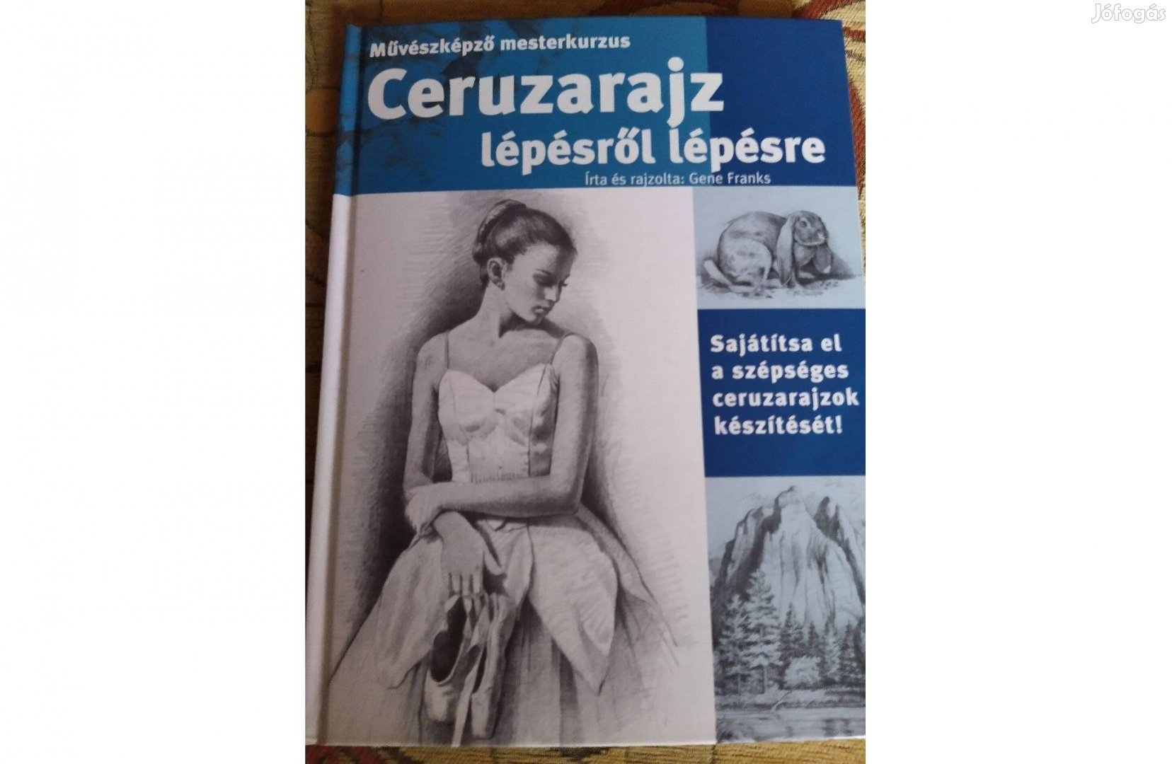 Ceruzarajz lépésről lépésre - könyv, grafikus művészet