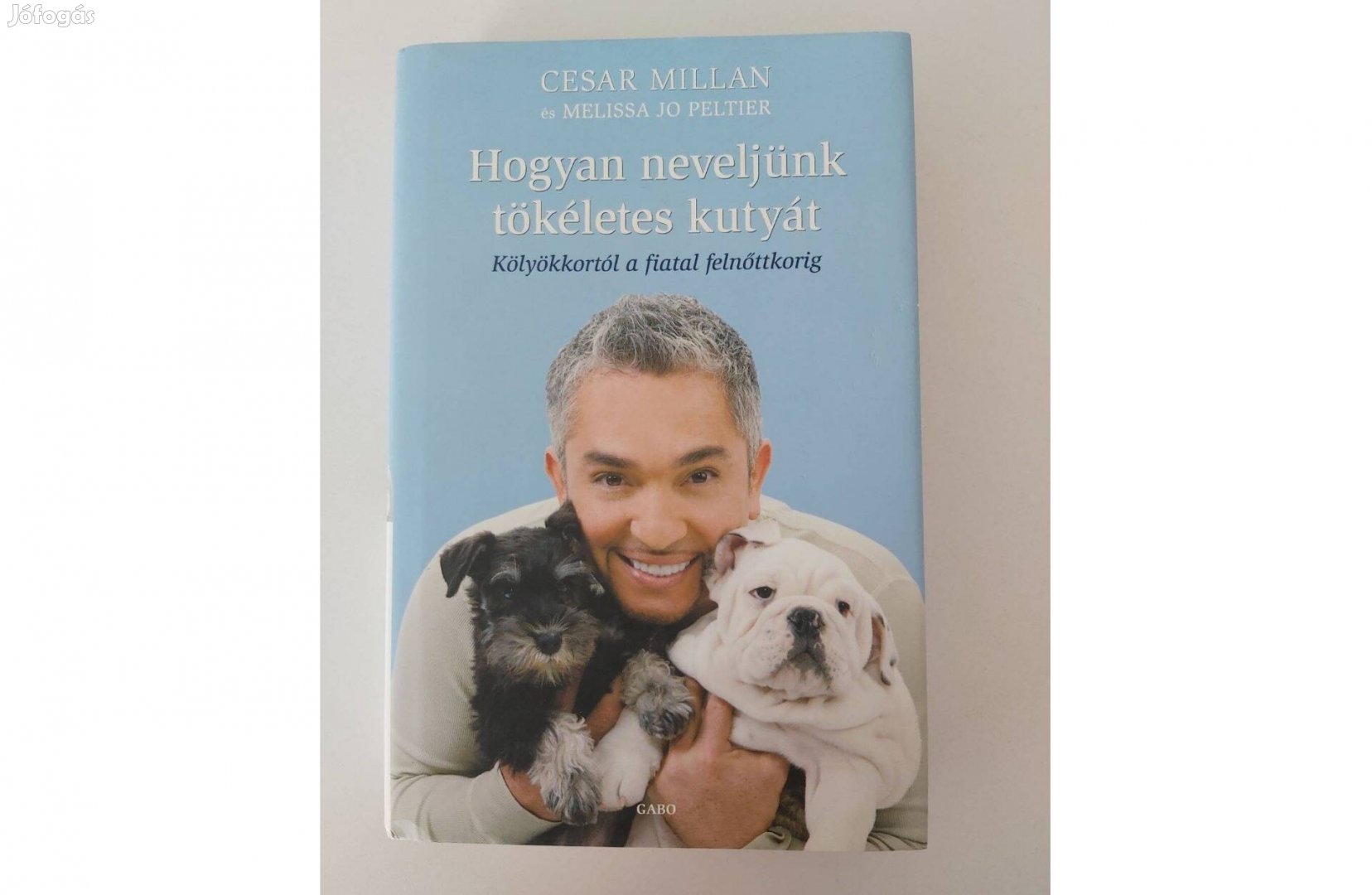 Cesar Millan: Hogyan neveljünk tökéletes kutyát