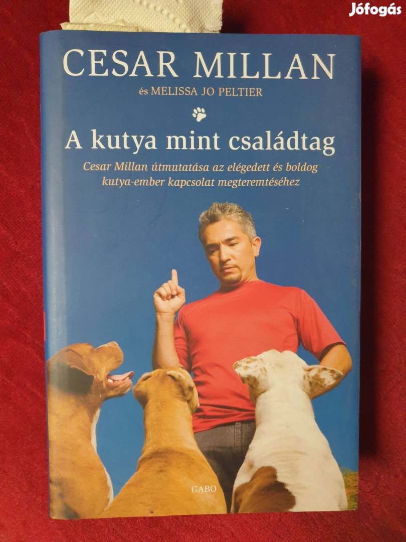Cesar Millan - A kutya mint családtag