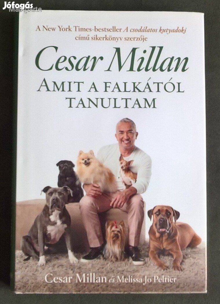 Cesar Millan : Amit a falkától tanultam