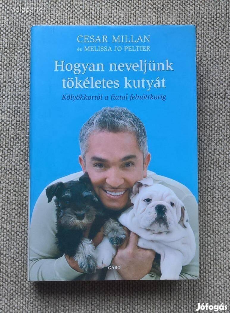 Cesar Millan : Hogyan neveljünk tökéletes kutyát