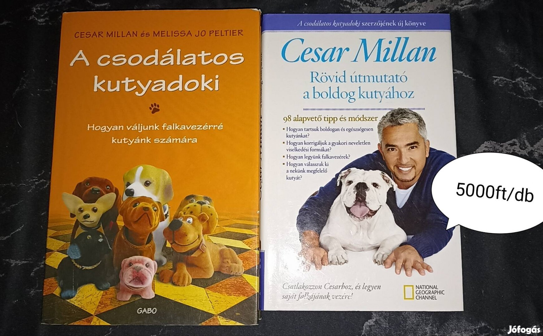 Cesar Millan könyvek 3 db