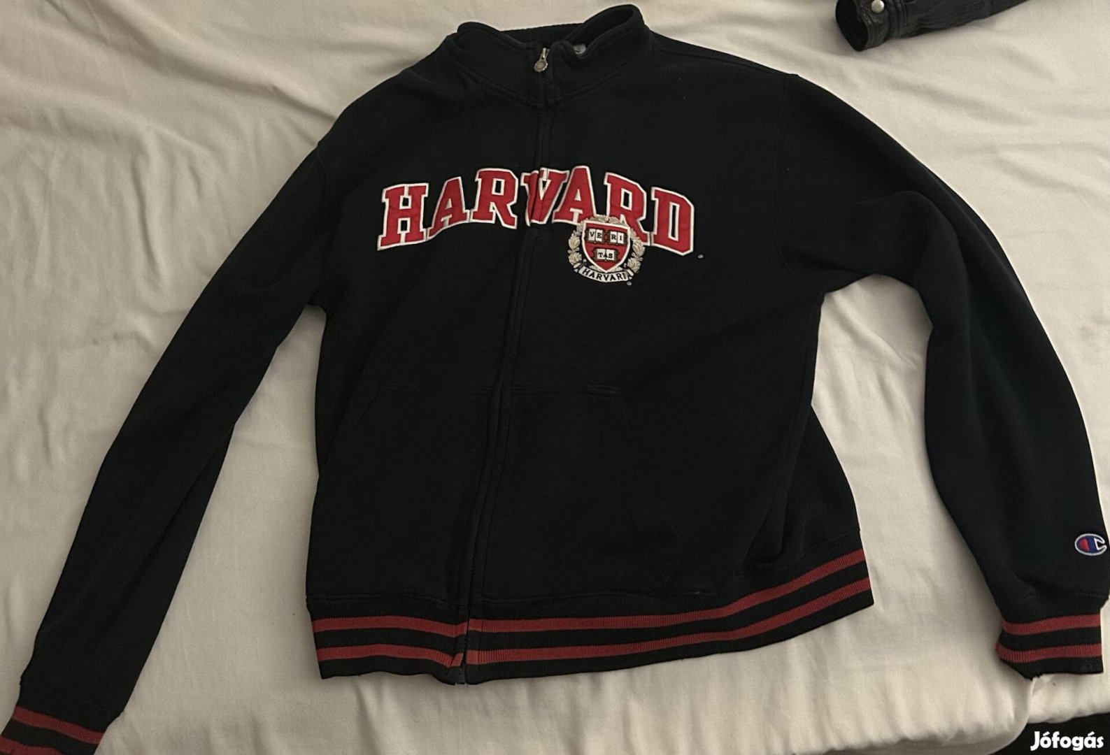 Champion Harvard pulcsi