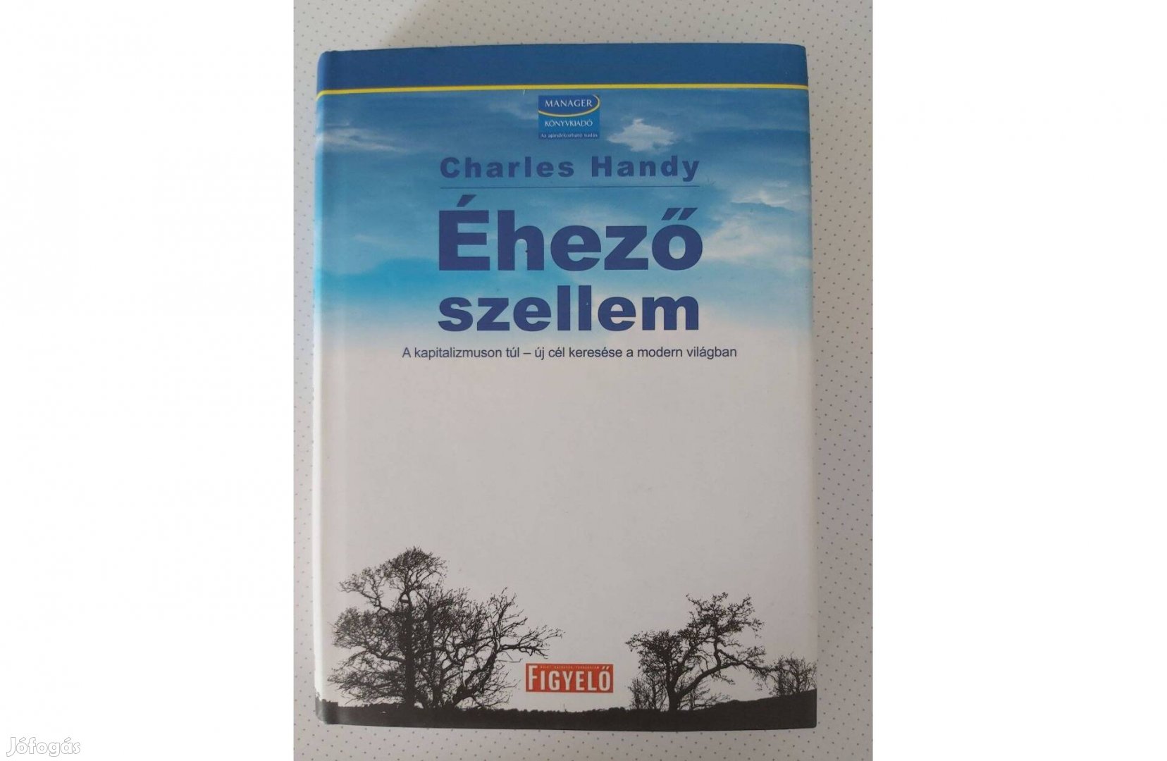 Charles Handy: Az éhező szellem