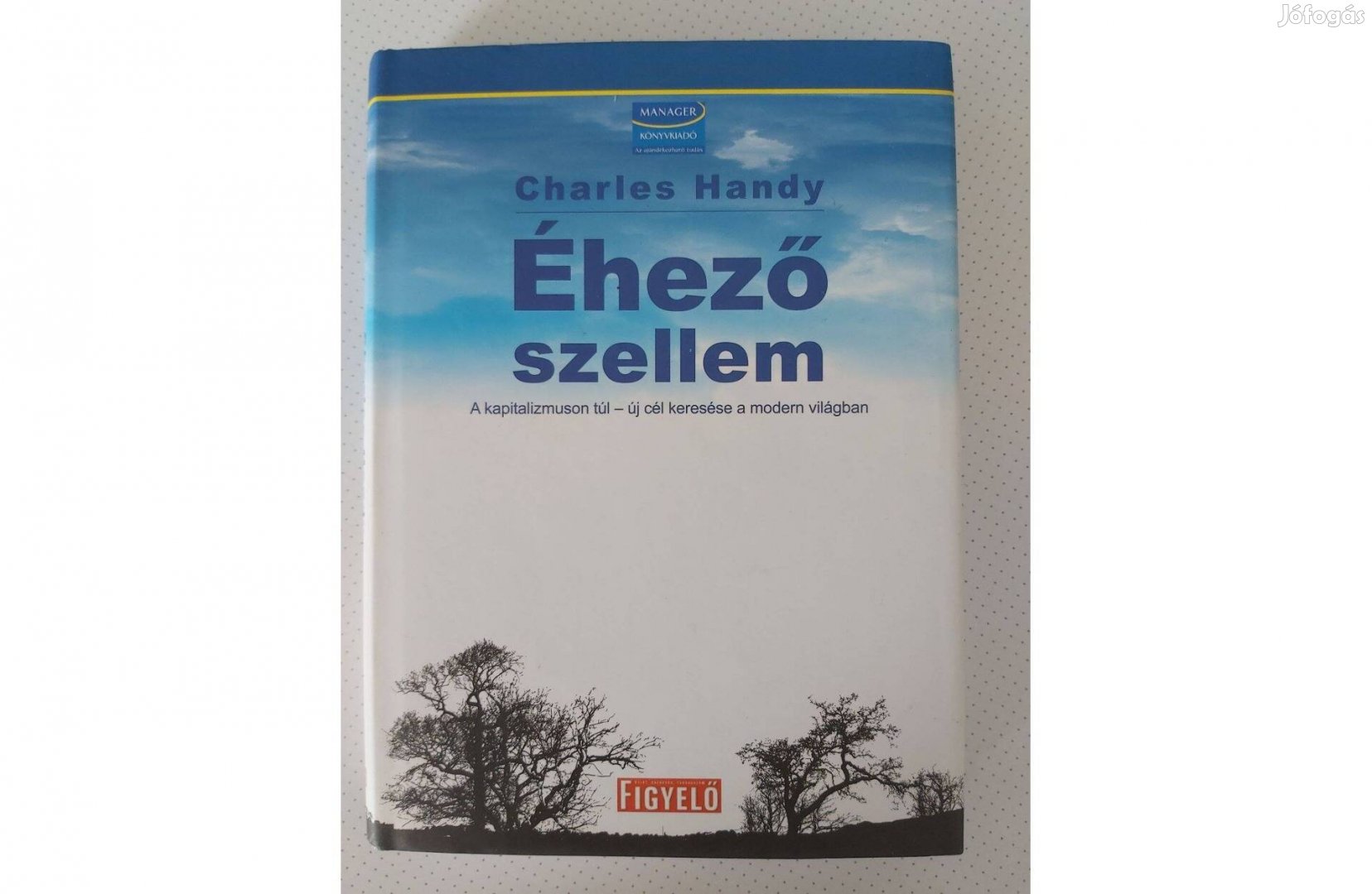 Charles Handy: Az éhező szellem