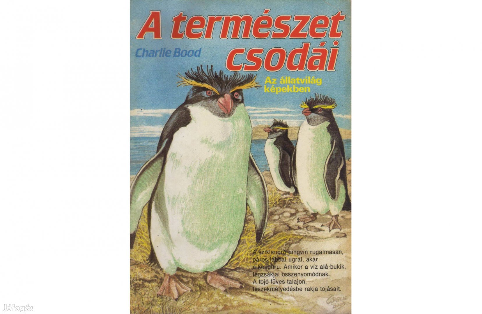 Charlie Blood: A természet csodái 2