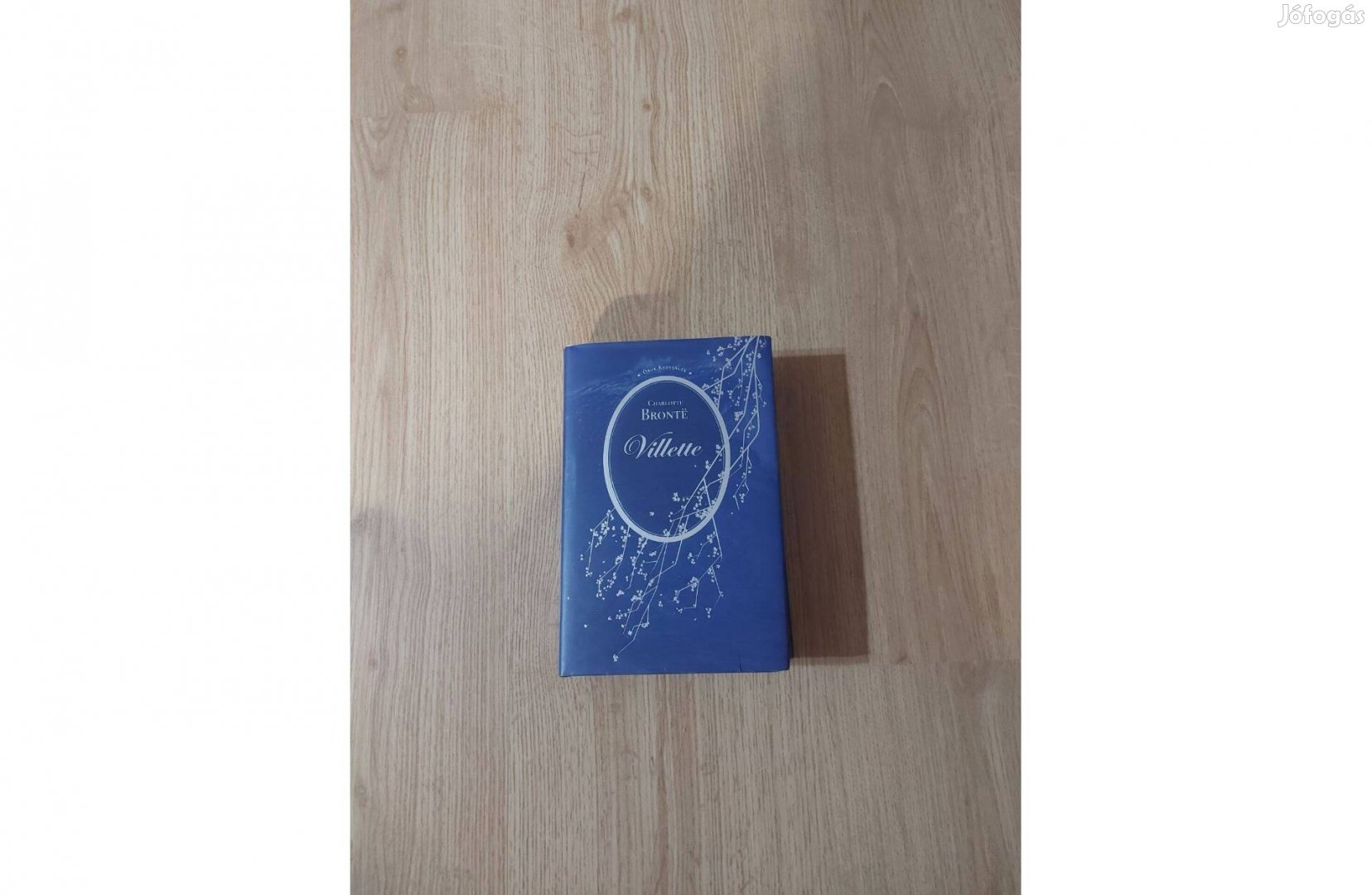 Charlotte Brontë: Villette