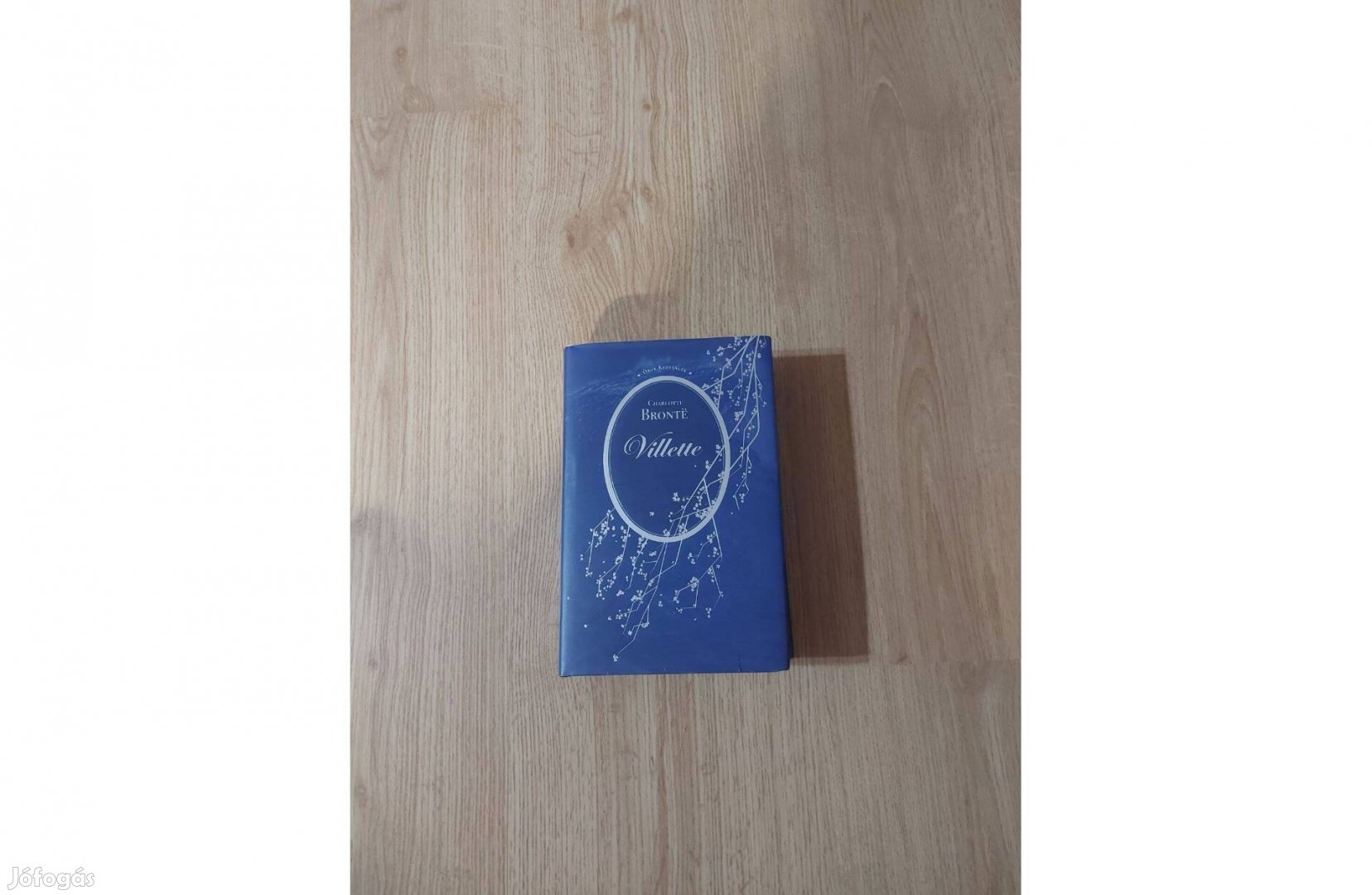Charlotte Brontë: Villette