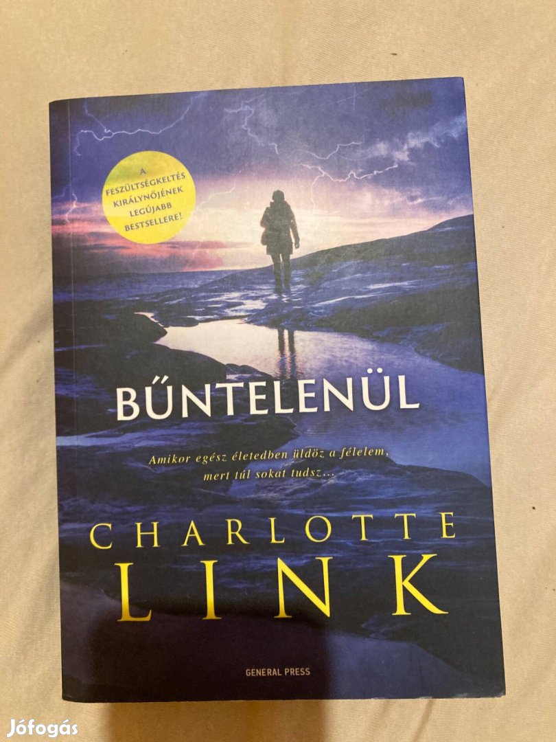 Charlotte Link Bűntelenül