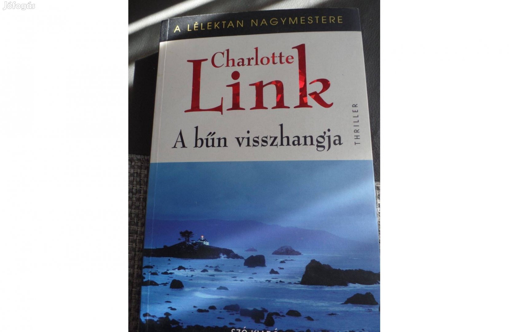 Charlotte Link: A bűn visszhangja