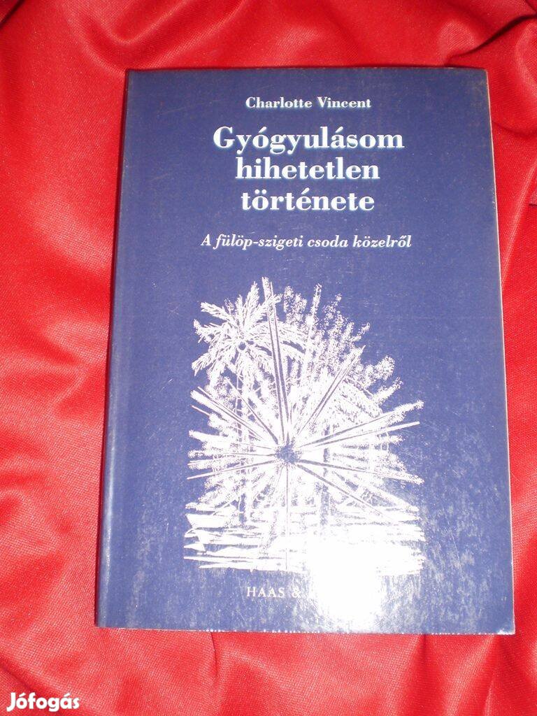 Charlotte Vincent : Gyógyulásom hihetetlen története