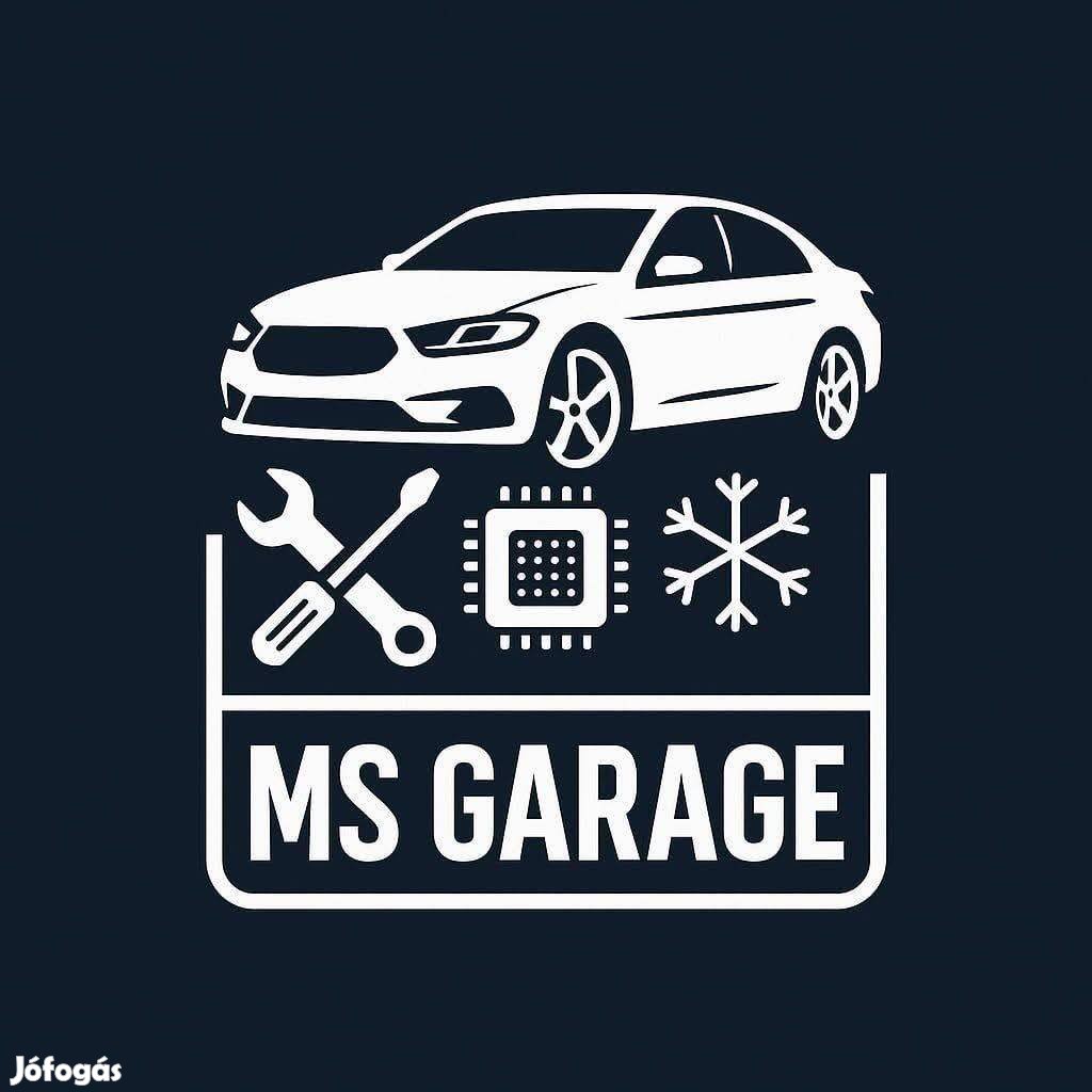 Chip tuning Msgarage
