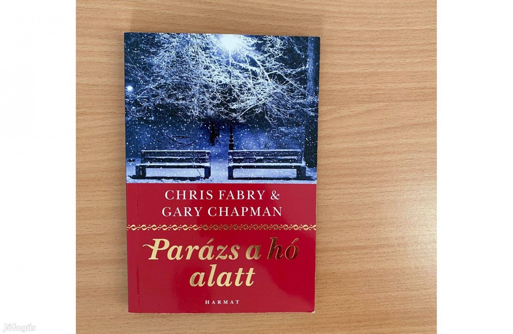 Chris Fabry Gary Chapman: Parázs a hó alatt