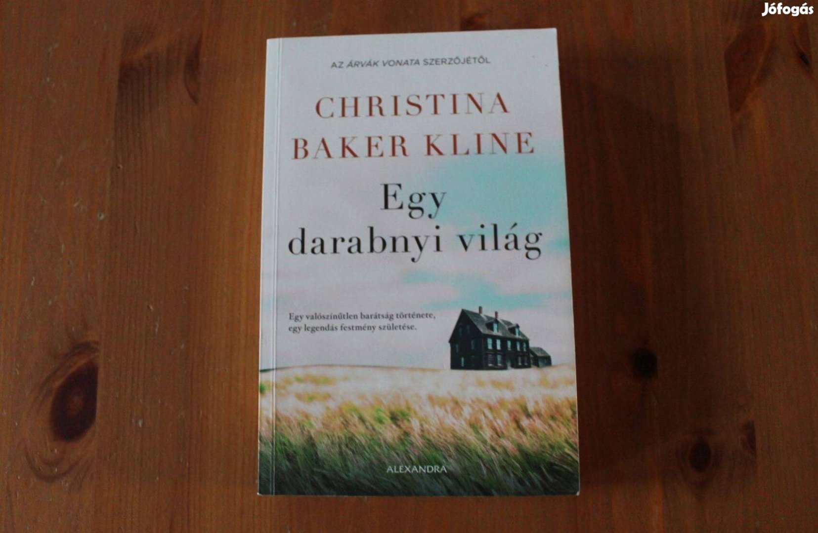 Christina Baker Kline - Egy darabnyi világ